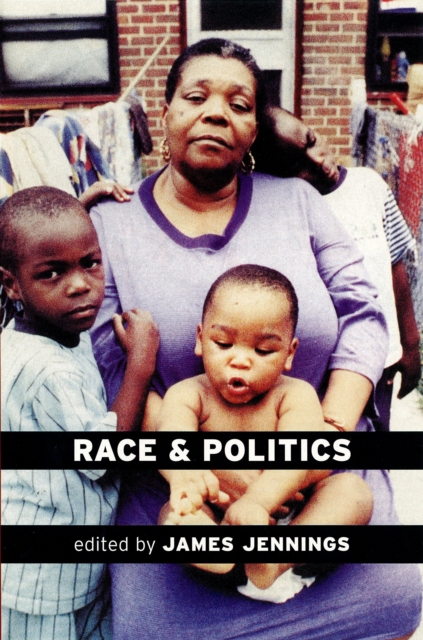 Image for Race and Politics : New Challenges and Responses for Black Activism