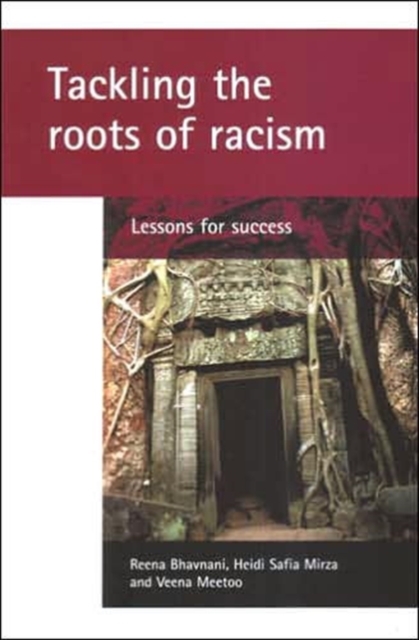 Image for Tackling the roots of racism : Lessons for success