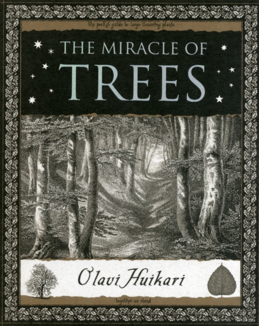 Image for The Miracle of Trees : Their Life and Biology