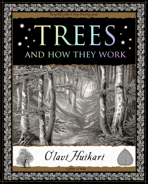 Image for Trees : And How They Work