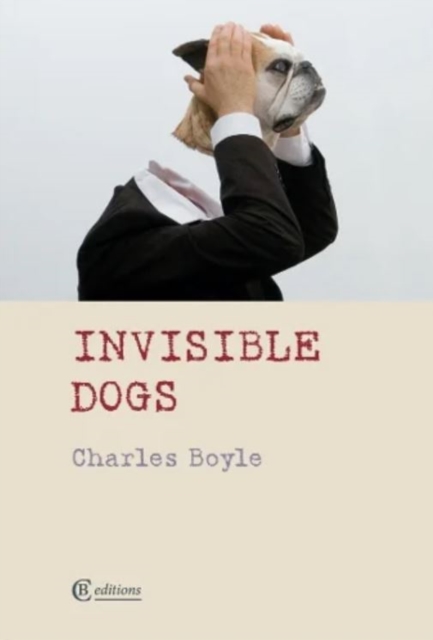 Image for Invisible Dogs