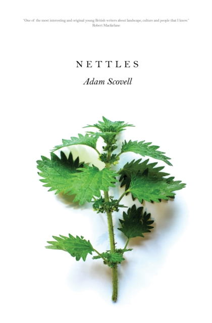 Image for Nettles