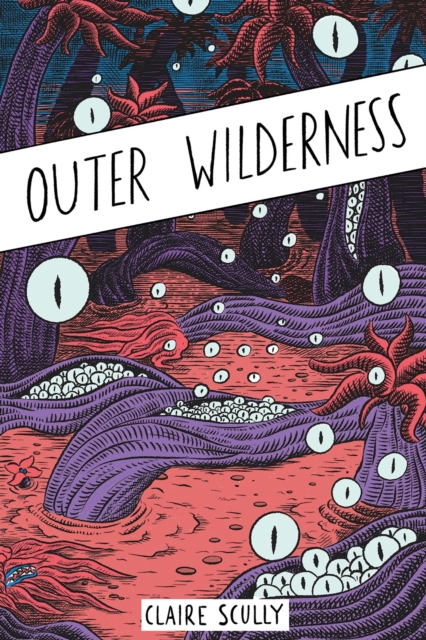 Image for Outer Wilderness