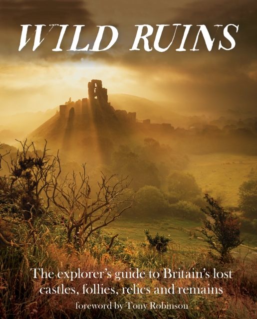 Image for Wild Ruins : The Explorer's Guide to Britain Lost Castles, Follies, Relics and Remains