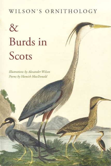 Image for Wilson's Ornithology and Burds in Scots