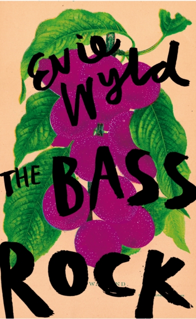 Cover for: The Bass Rock