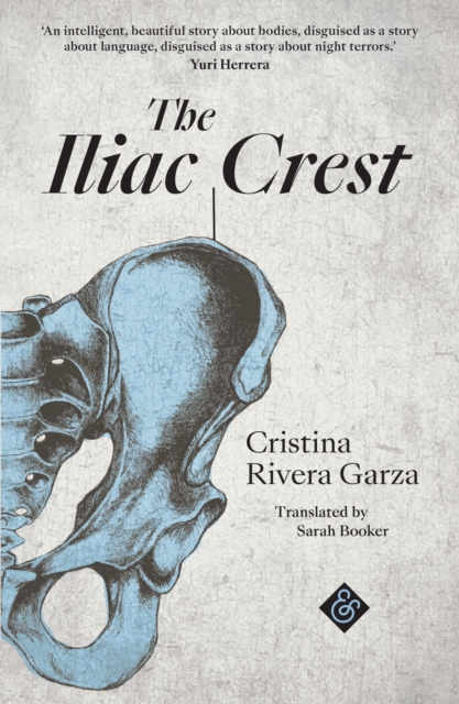 Image for The Iliac Crest