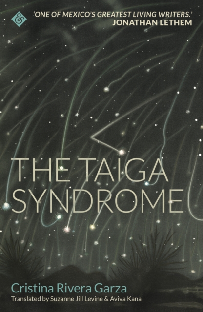 Image for The Taiga Syndrome