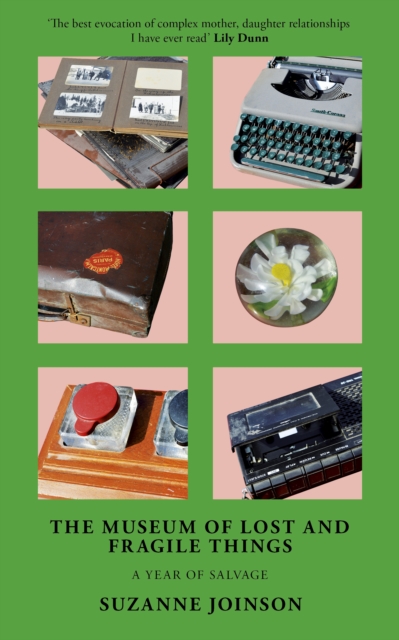 Image for The Museum of Lost and Fragile Things : A Year of Salvage