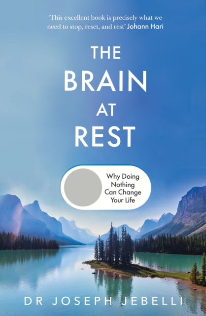 Image for The Brain at Rest : Why doing nothing can change your life