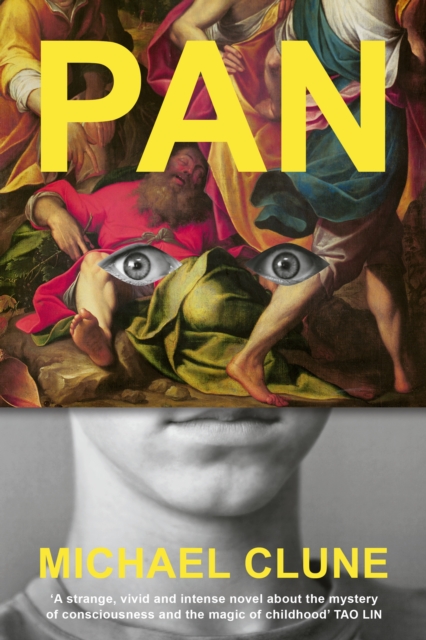 Image for Pan