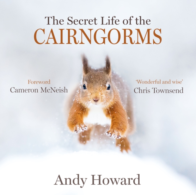 Image for The Secret Life of the Cairngorms