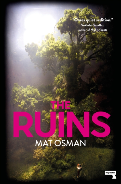 Image for The Ruins