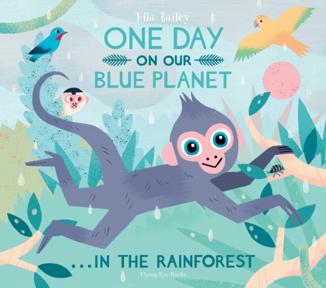 Image for One Day on our Blue Planet: In the Rainforest (Paperback) : 3