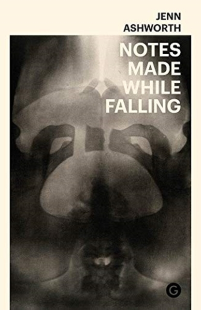 Cover for: Notes Made While Falling