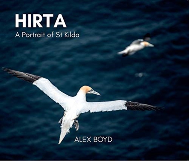 Image for Hirta : A Portrait of St Kilda