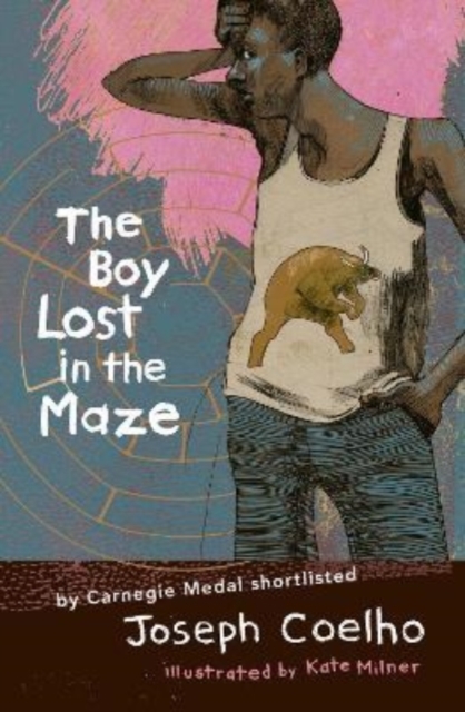 Image for The Boy Lost in the Maze