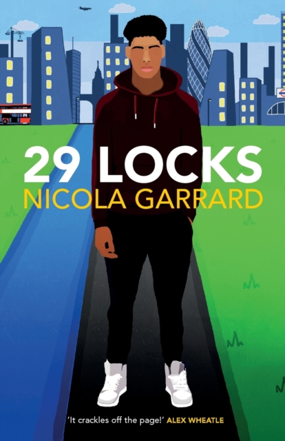Cover for: 29 Locks