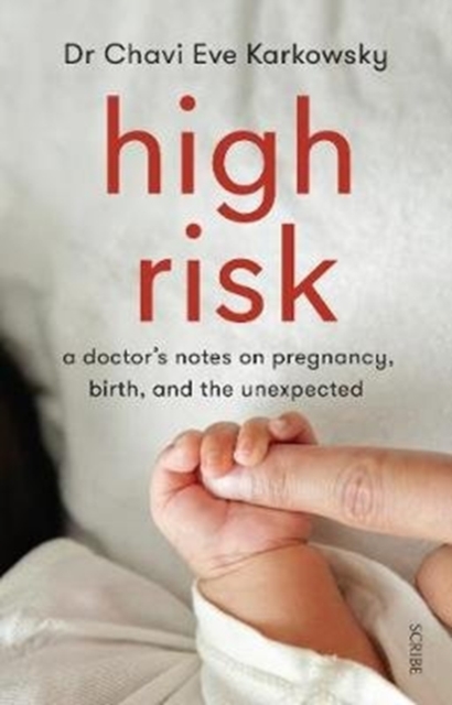 Image for High Risk : a doctor's notes on pregnancy, birth, and the unexpected
