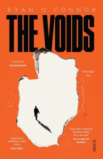 Image for The Voids