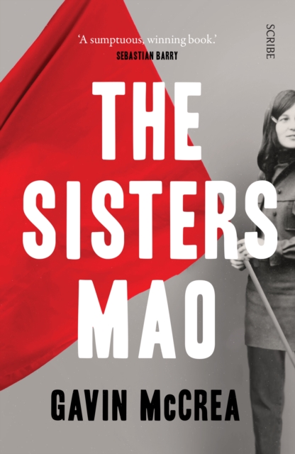 Image for The Sisters Mao : a novel