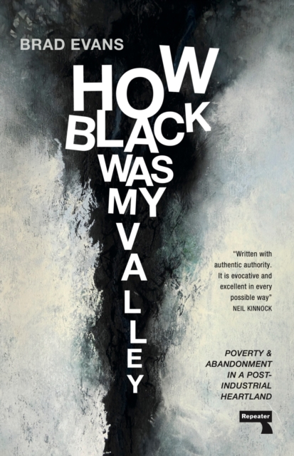 Image for How Black Was My Valley : Poverty and Abandonment in a Post-Industrial Heartland