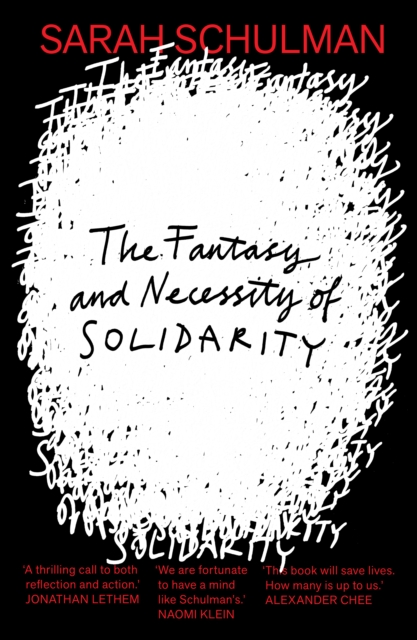 Image for The Fantasy and Necessity of Solidarity