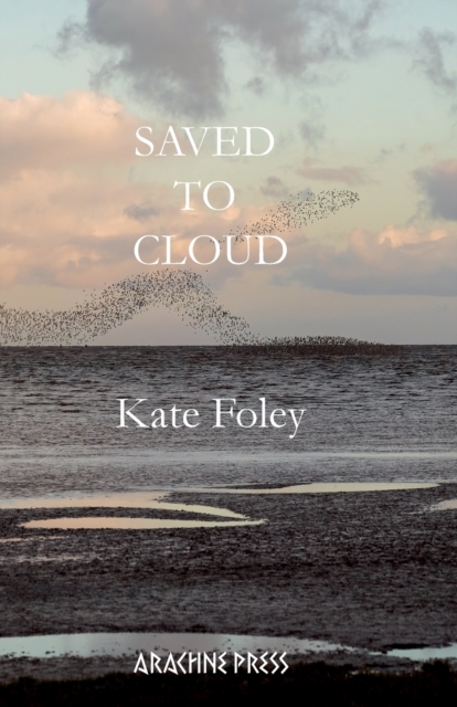 Image for Saved to Cloud