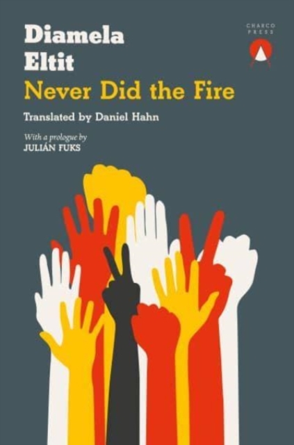 Image for Never Did the Fire