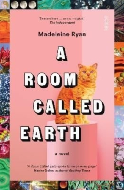 Cover for: A Room Called Earth