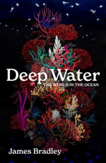 Image for Deep Water : the world in the ocean