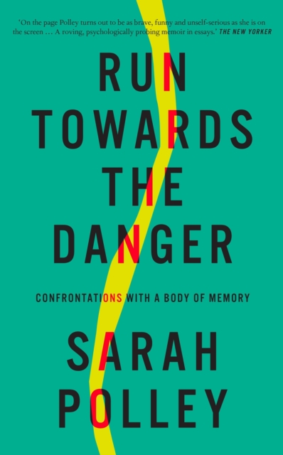 Image for Run Towards the Danger : Confrontations with a Body of Memory