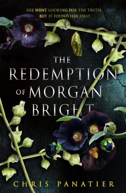 Image for The Redemption of Morgan Bright