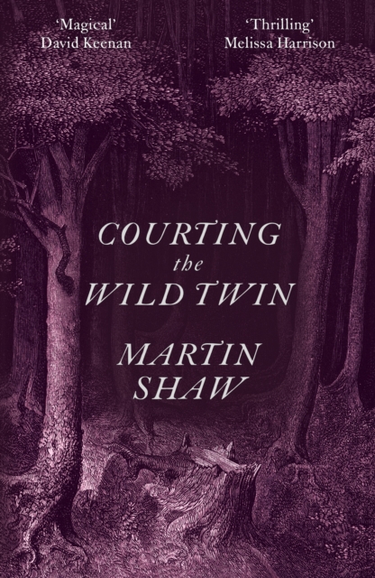 Image for Courting the Wild Twin