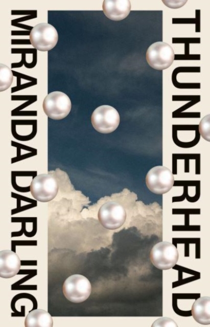 Image for Thunderhead
