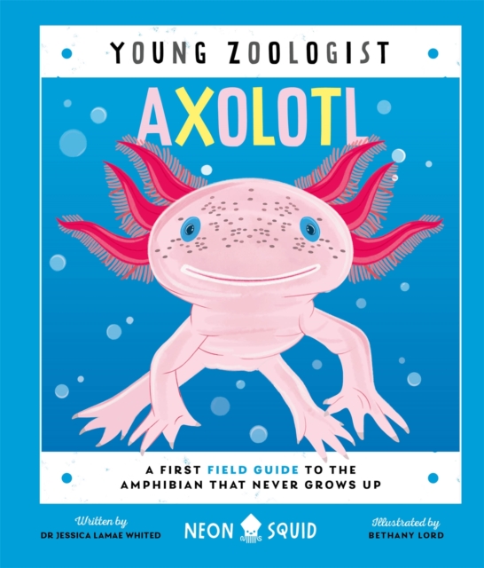 Image for Axolotl (Young Zoologist) : A First Field Guide to the Amphibian That Never Grows Up