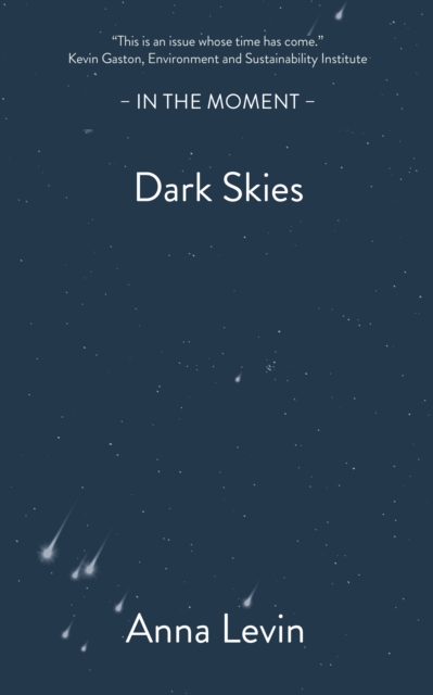 Image for Dark Skies