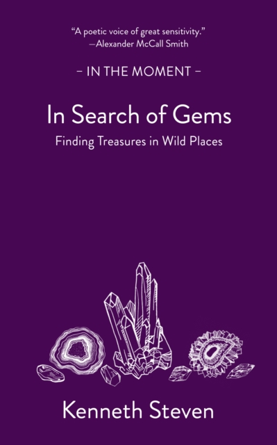 Image for In Search of Gems : Finding Treasures in Wild Places