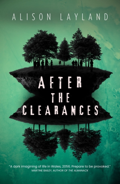 Image for After The Clearances