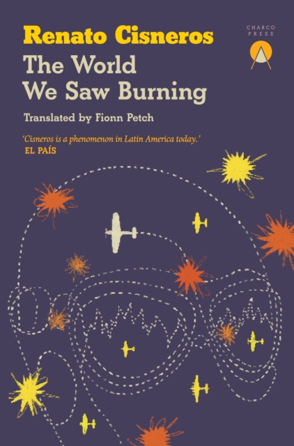 Image for The World We Saw Burning
