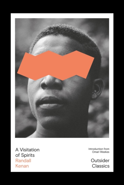 Image for A Visitation of Spirits