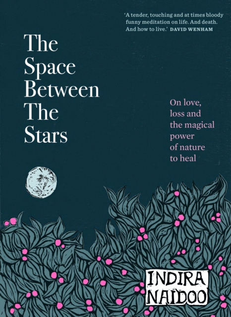 Image for The Space Between the Stars : On love, loss and the magical power of nature to heal