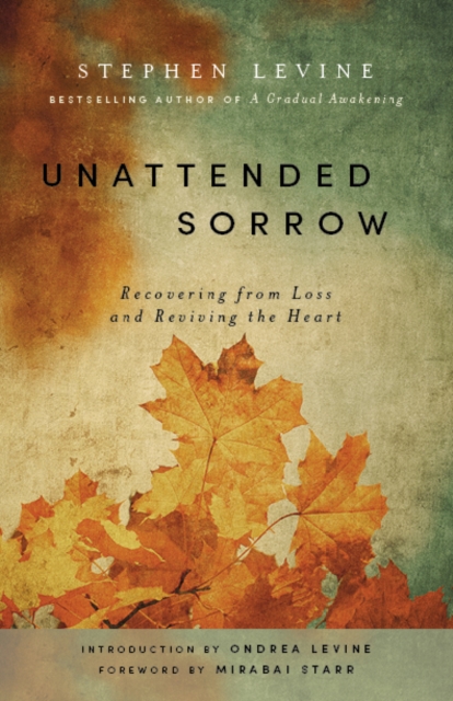 Image for Unattended Sorrow : Recovering from Loss and Reviving the Heart
