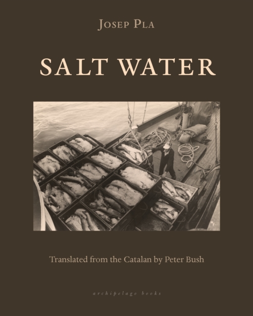 Cover for: Salt Water