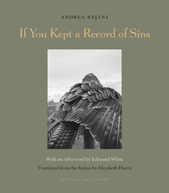 Cover for: If You Kept A Record Of Sins