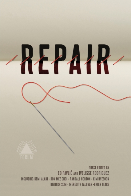 Cover for: Repair