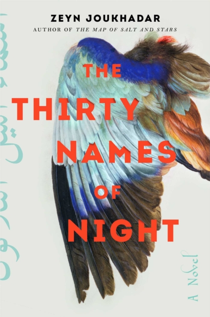 Cover for: The Thirty Names of Night : A Novel