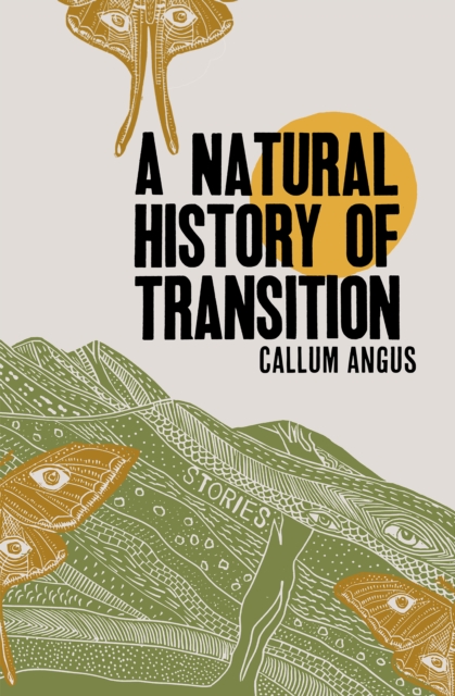 Cover for: A Natural History Of Transition : Stories