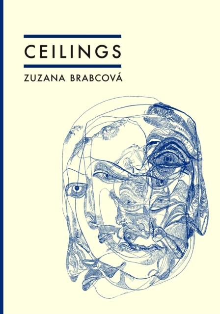 Image for Ceilings