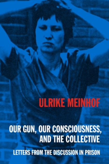 Image for Our Gun, Our Consciousness, and the Collective : Letters from the Discussion in Prison